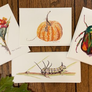 Op de afbeelding: Vier aquarellen op wit karton. De eerste afbeelding toont een tros oranje en rode bloemen. De tweede afbeelding toont een kleine oranje pompoen. De derde afbeelding toont een grote groene en rode kever. De vierde afbeelding toont een zwart-gele rups op een tak.