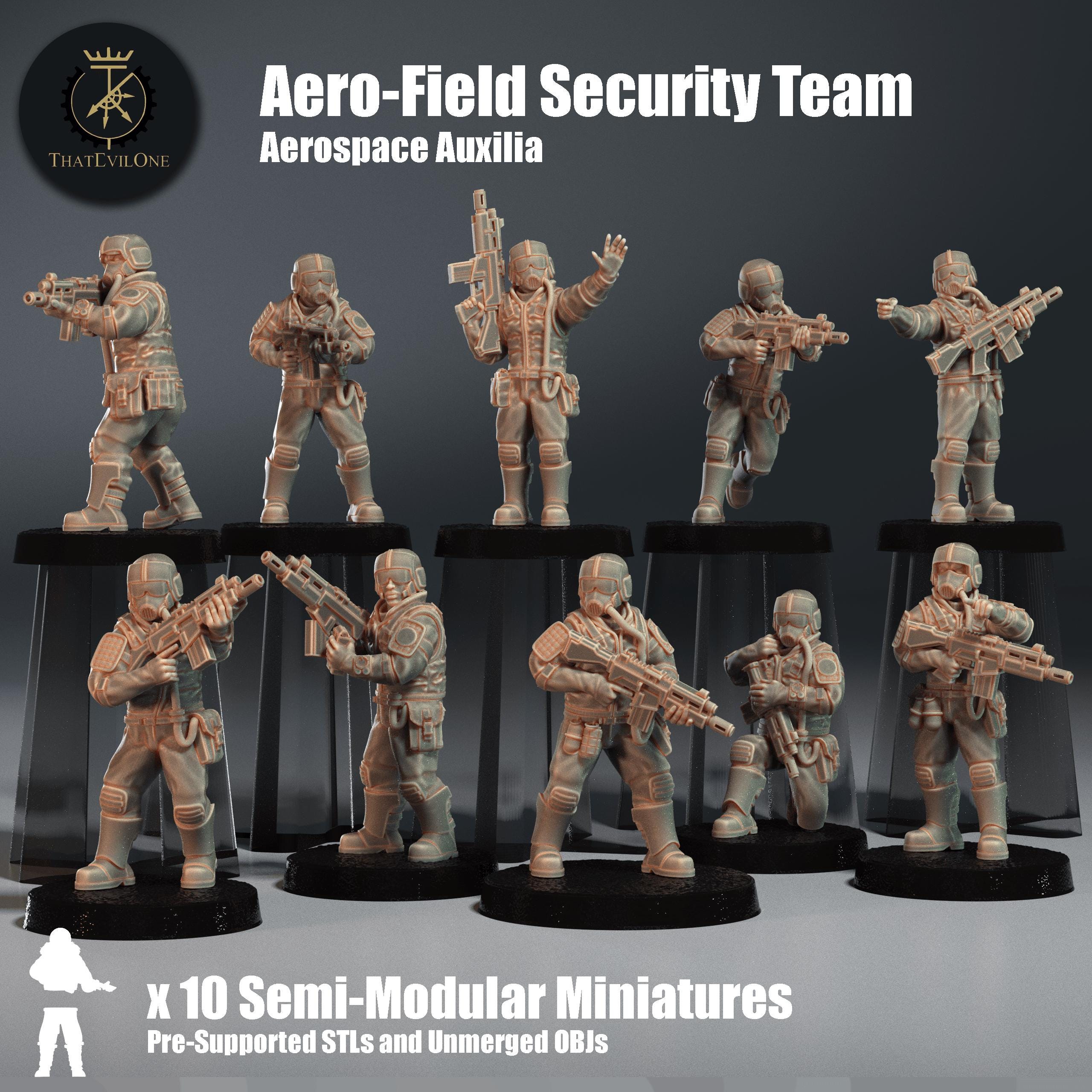 Aero- Field Security Team