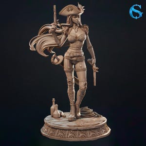 May include: A detailed sculpture of a female pirate figure, holding two pistols and a sword. She wears a tricorn hat, corset, and boots, standing on a wooden platform with bottles and rope. The figure is in a dynamic pose, with flowing hair.