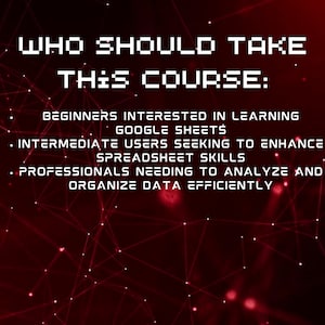 May include: Red background with a white pixelated text overlay that reads "WHO SHOULD TAKE THIS COURSE:" followed by three bullet points describing who should take the course: beginners interested in learning Google Sheets, intermediate users seeking to enhance spreadsheet skills, and professionals needing to analyse and organise data efficiently.
