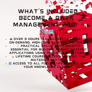 May include: Red geometric design with the text "WHAT'S INCLUDED BECOME A DATA MANAGEMENT PRO!". The image lists over 3 hours of on-demand video material, practical skills, and lifetime course access.