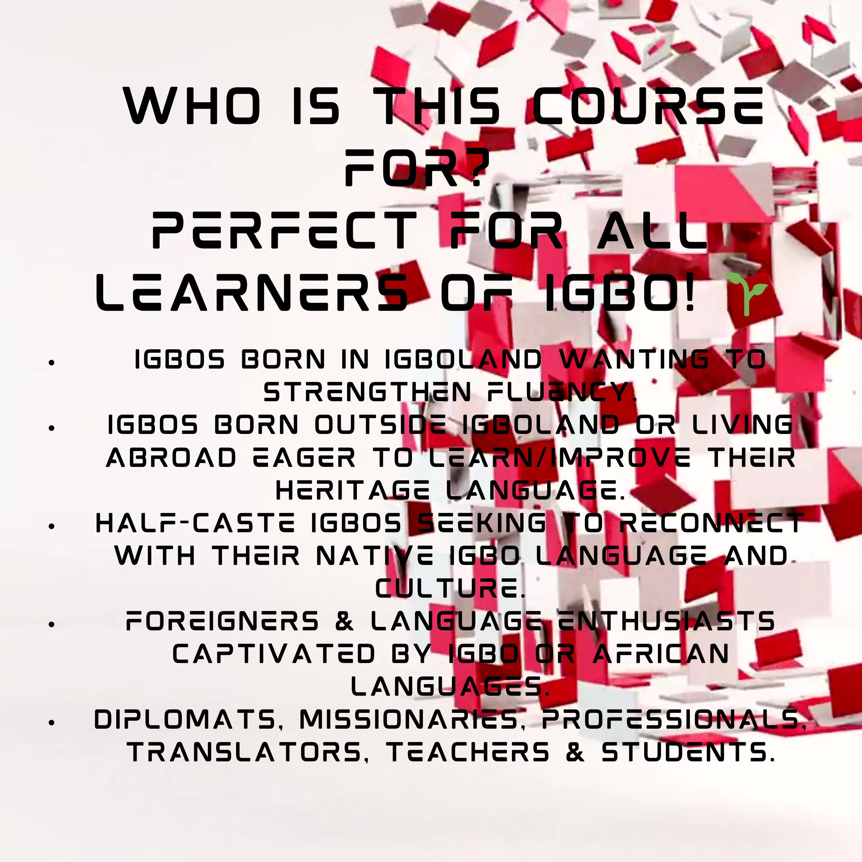 Multilingual Flashcards for Language Learners
