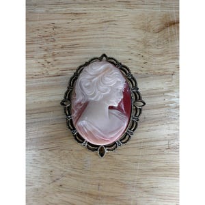 Vintage Lady Cameo Brooch With Ornate Bronze Frame & Pin Back
