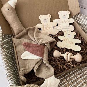 Newborn Set, Baby Shower Gift Set, Gender Neutral Baby Gift, Baby Gift Set For Newborn - 9pc Set