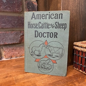 1901 Rare Book - Robert McClure - American Horse, Cattle, and Sheep Doctor