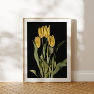 Gelbe Tulpen auf Premium-Mattpapier-Poster Hohe Detailgenauigkeit Blumenfotografie Frühling Wanddruck Blumen-Wanddekoration Bild 1