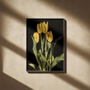 Gelbe Tulpen auf Premium-Mattpapier-Poster Hohe Detailgenauigkeit Blumenfotografie Frühling Wanddruck Blumen-Wanddekoration Bild 6