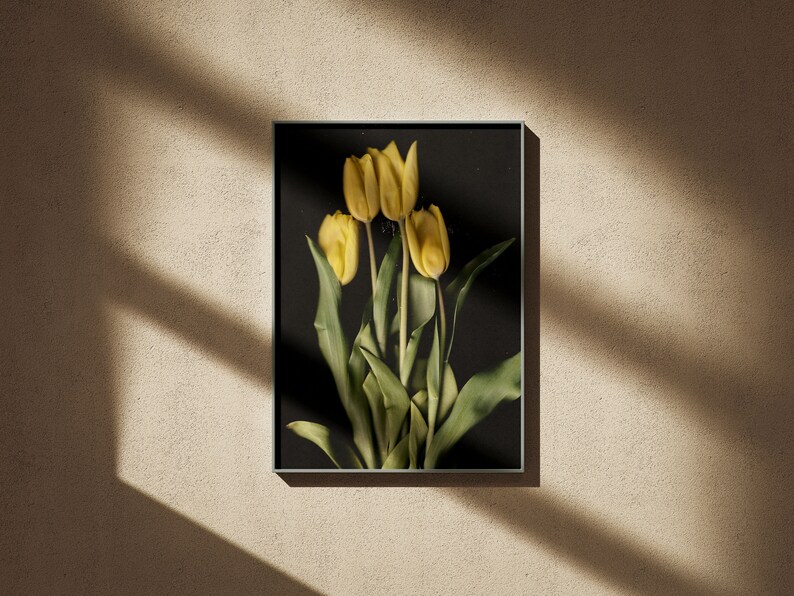 Gelbe Tulpen auf Premium-Mattpapier-Poster Hohe Detailgenauigkeit Blumenfotografie Frühling Wanddruck Blumen-Wanddekoration Bild 6
