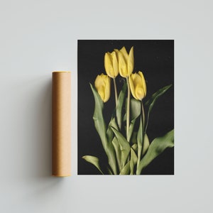 Gelbe Tulpen auf Premium-Mattpapier-Poster Hohe Detailgenauigkeit Blumenfotografie Frühling Wanddruck Blumen-Wanddekoration Bild 8
