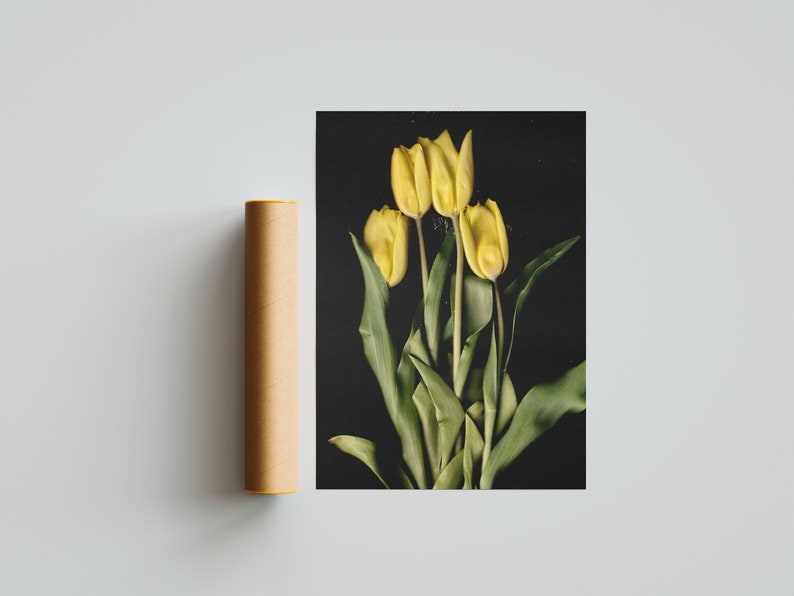 Gelbe Tulpen auf Premium-Mattpapier-Poster Hohe Detailgenauigkeit Blumenfotografie Frühling Wanddruck Blumen-Wanddekoration Bild 8