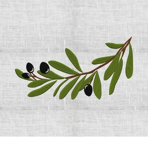 Wispy Olive Branch Embroidery Design Kitchen Embroidery DESIGN FILE Instant download - Vp3 Exp Dst Hus Jef Pes formats in 2 sizes 4 colors