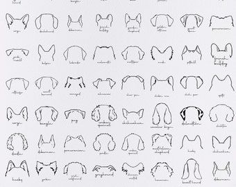 Orecchie di razza di cane SVG / Disegnato a mano / Pacchetto di contorni orecchie di cane / Pacchetto Clipart Svg / Line art / Design del tatuaggio / Pacchetto PNG / Uso commerciale