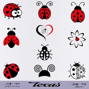 SVG coccinelle | Fichiers SVG lot de coccinelle | Coccinelle SVG en couches | Fichiers coccinelle pour Cricut | Clipart coccinelle | Coccinelle Svg