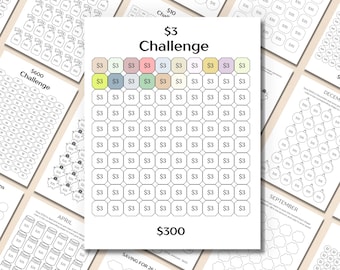 Low Income Savings Challenge, Monthly Savings, Money Savings Challenge, Saving Tracker, Mini Savings Challenge, Budget Binder, 100 Envelopes