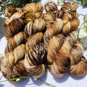 Mocha ~ Hand dyed yarn by Fern Fiber Co