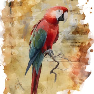 Watercolor Parrot Clipart PNG – Colorful Macaw Bird with Rustic Wood Texture Background – Tropical Sublimation Design Art