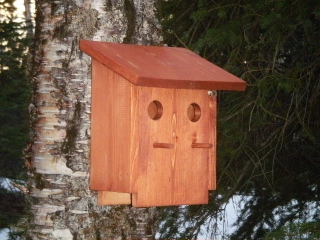 View of Two Unit Birdhouse Plans, Birdhouse Plans, DIY Birdhouse, Birdhouse ...