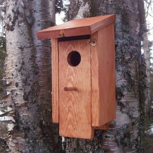 Planos de casa para pájaros de una sola unidad con apertura frontal, planos de casa para pájaros, casa para pájaros, bricolaje, planos de casa para pájaros, casa para pájaros, planos de carpintería, exteriores, Alaska