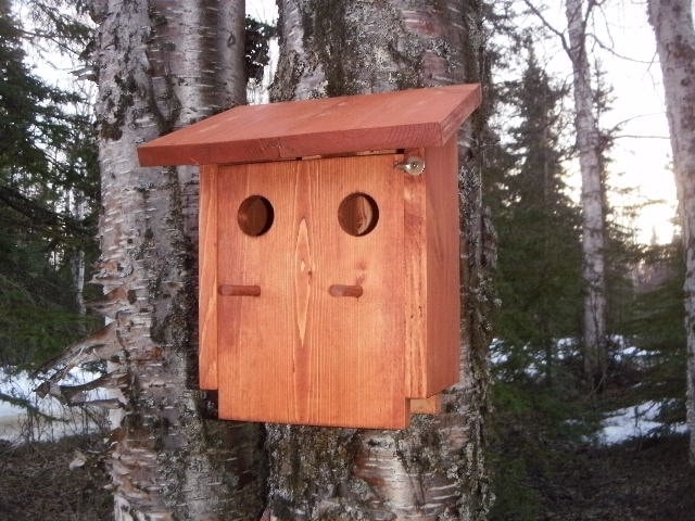 Picture of Two Unit Birdhouse Plans, Birdhouse Plans, DIY Birdhouse, Birdhouse ...