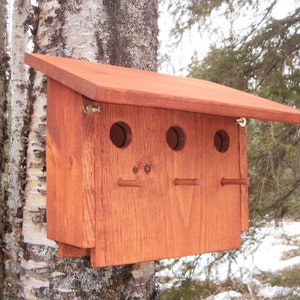 Può includere: Una casetta per uccelli in legno marrone-rossastro è attaccata a un albero. Presenta tre fori di ingresso circolari e un tetto spiovente. Due piccole pertiche di legno sporgono dalla parte anteriore. La casetta per uccelli è fissata con una cerniera metallica.