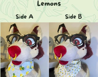 Fursuit Bandana - Foods