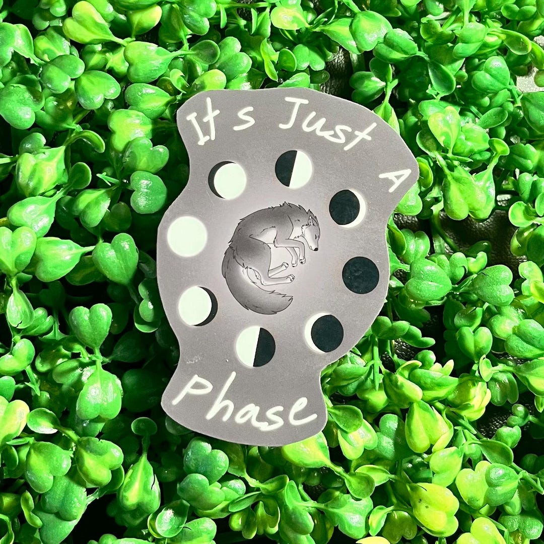 It’s Just A Phase Sticker [limited] - Etsy