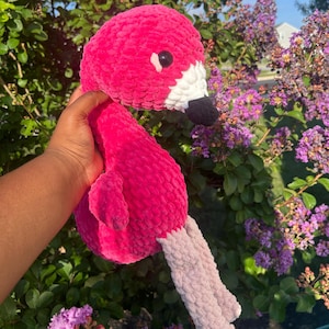 flamingo