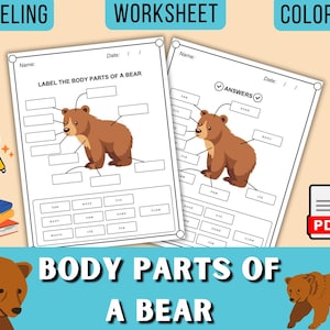 Bear Anatomy Coloring and Labeling Worksheets, Wildlife Education Activity, Homeschool Printable, Back to School Learning, No Prep PDF File