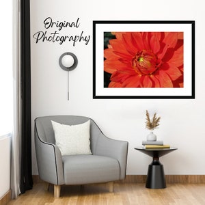 Photo macro en couleur originale du centre d'une fleur d'oranger, montrant l'étamine et le pollen au centre de la fleur. image 5