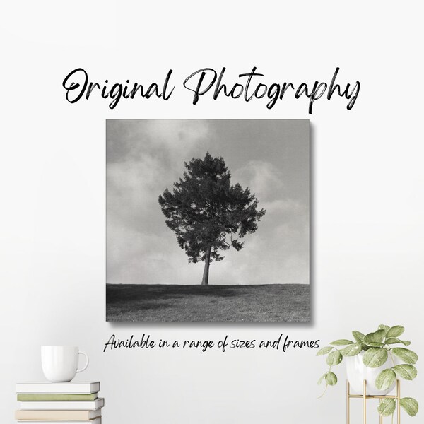 Original black and white photograph of a solitary tree on a hill overlooking the historic Cadwell Park motor circuit in Lincolnshire.