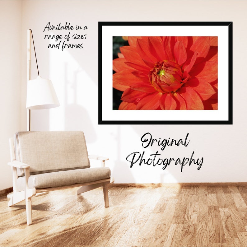 Photo macro en couleur originale du centre d'une fleur d'oranger, montrant l'étamine et le pollen au centre de la fleur. image 6