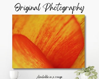 Original colour photograph of the centre of an orange tulip, taken with an f1.2 lens to create a painting-like effect.