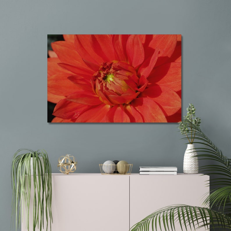 Photo macro en couleur originale du centre d'une fleur d'oranger, montrant l'étamine et le pollen au centre de la fleur. image 8