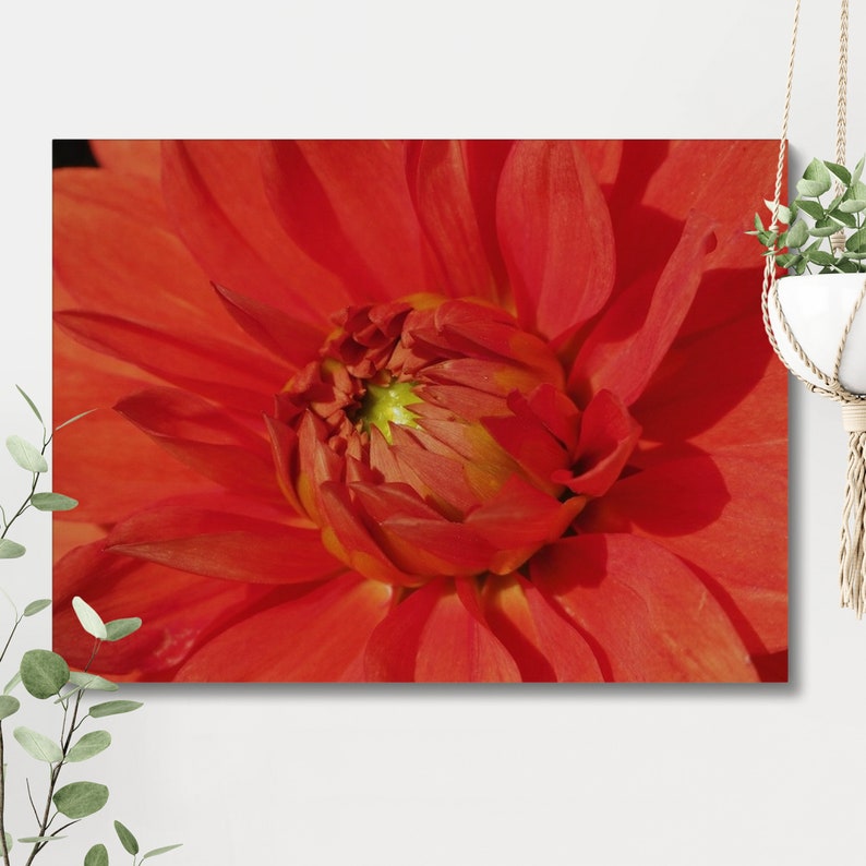Photo macro en couleur originale du centre d'une fleur d'oranger, montrant l'étamine et le pollen au centre de la fleur. image 7