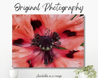 Original colour macro photograph of the centre of an orange flower, showing the stamen and pollen in the centre of the flower.