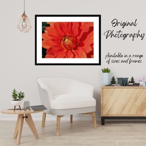 Photo macro en couleur originale du centre d'une fleur d'oranger, montrant l'étamine et le pollen au centre de la fleur. image 4