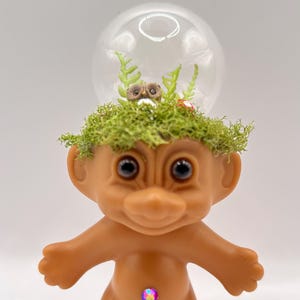 Custom Troll with glass globe cloche containing miniature owl and mushroom with ferns surrounded by moss