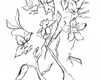 Plume et encre, tulipes, tulipes, fleurs, oeuvre d'art en noir et blanc,