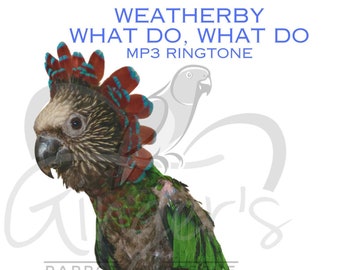 Weatherby saying "What do, what do, what do...."  MP3 format