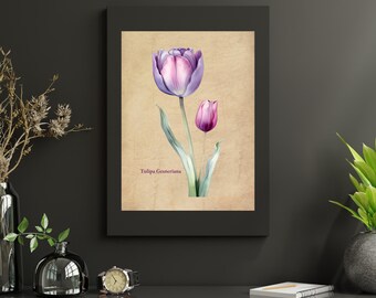 Vintage Tulip Botanical Print: Antique Floral Wall Art (Digital Download)