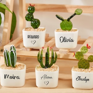 Personalized Glass Cactus,Handmade Glass Potted Plant,Fused Glass Succulents,Car Glass Ornament,Cactus Lover,Home Decor,Birthday Gifts