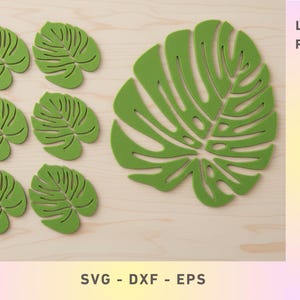 Monstera Leaf Coasters x 6 & Tray SVG Tropical | Laser Cut Vector (Glowforge, XTool, Cricut)