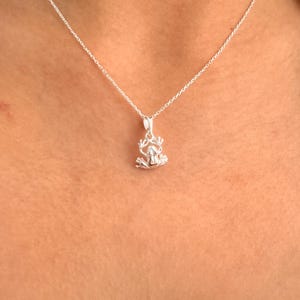 Colar de sapo banhado a ouro 14k Pingente de paddock de sapo Presentes para amantes da floresta Colar com pingente de sapo Presente para crianças Opções de 12 a 26 polegadas Colar fofo