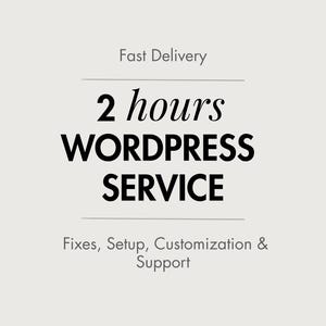 2 Hour WordPress Help Service | Fix Website Issues, Small Tasks, Elementor Edits