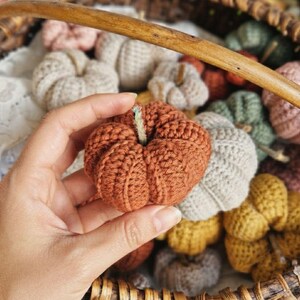 May include: A hand-held, crocheted pumpkin in a burnt orange colour with a small, light-coloured stem. The pumpkin features a ribbed, textured surface created by yarn stitches. It is part of a collection of various coloured crocheted pumpkins.