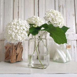 Op de afbeelding: Drie glazen potten met witte hortensia bloemen en groene bladeren. De potten staan op een wit oppervlak. De pot in het midden is gevuld met water en heeft een wit etiket aan de zijkant.