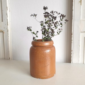 May include: A vintage, cylindrical, brown stoneware jar with a wide rim, holding dried flowers. The jar has a slightly textured surface and a subtle embossed design. The flowers have dark purple buds and green stems. The jar is approximately 8 inches tall.