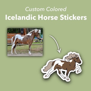 Icelandic Horse Sticker | Custom Coat Colors