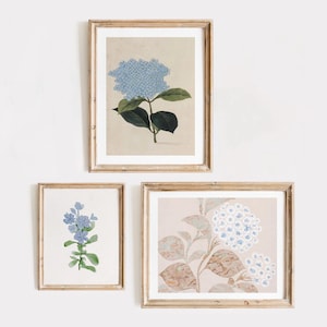 Blue Flower Art: Set of 3 Gallery Prints | Vintage Hydrangea, Blue Watercolor Floral Painting | Neutral Floral Wall Artwork | DIGITAL Art