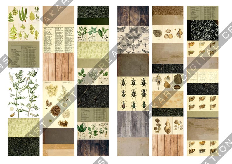Collage Strips Vintage NATURALIST - Botanical Scrapbooking and Junk Journaling Ephemera image 9